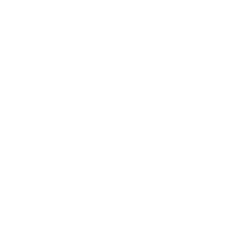 COMPUTADORA